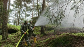 Ueb201905_DSC_0193 1.jpg